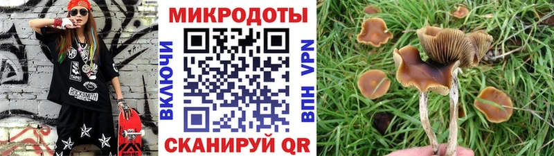 Галлюциногенные грибы GOLDEN TEACHER  Тбилисская 